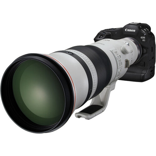 Canon EOS R1 Mirrorless Camera