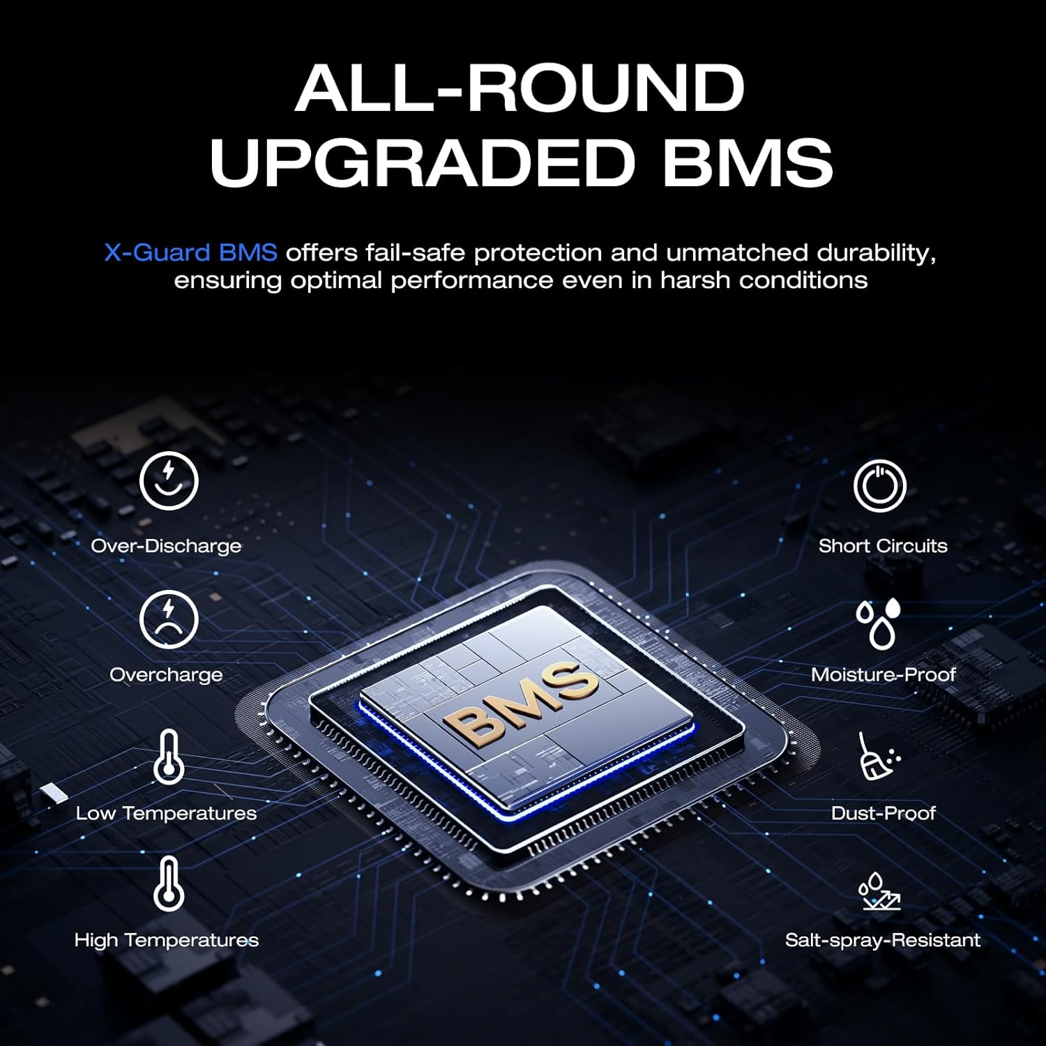 Ecoflow 12V battery-100AH