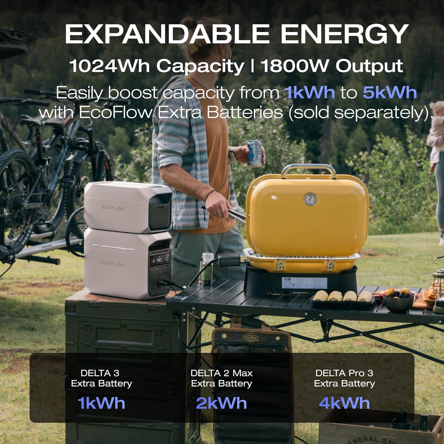 EcoFlow DELTA 3 Plus Portable Power Station(1800W,1024WH)