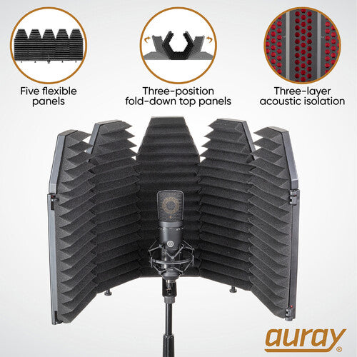 RODE NT1 5th Generation Large-Diaphragm Cardioid Condenser XLR/USB Microphone Kit