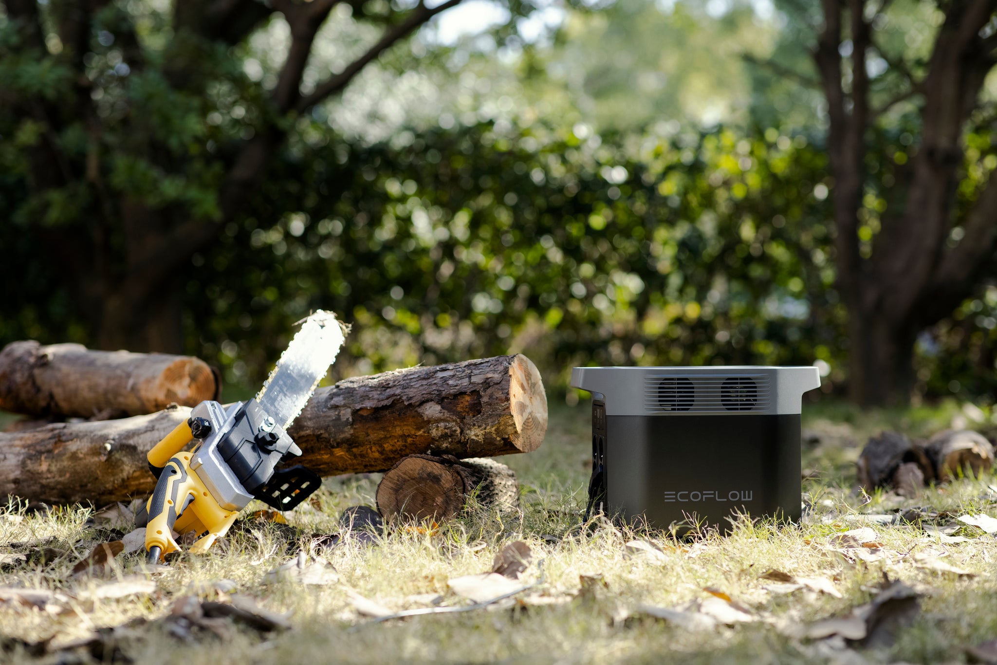 EcoFlow DELTA 2 Portable Power Station (1800W,1024Wh)